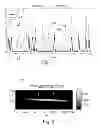 Fig. 02 - Method and device for detecting biological material