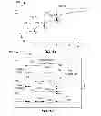 Fig. 08 - Systems, Circuits and Methods for Time Stamp Based One-Way Communications