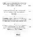 Fig. 02 - De-mapping method and device for optical transport unit frame