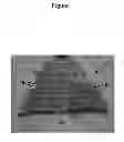 Fig. 02 - Load-Bearing Mat
