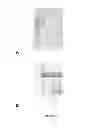 Fig. 02 - ENVELOPED VIRUS VACCINE AND METHOD FOR PRODUCTION