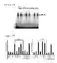 Fig. 02 - ACTIVATORS OF INNATE IMMUNITY