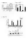 Fig. 05 - ACTIVATORS OF INNATE IMMUNITY