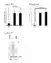 Fig. 12 - ACTIVATORS OF INNATE IMMUNITY