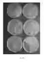 Fig. 04 - GASEOUS NITRIC OXIDE-SEQUESTERING PRODUCTS AND PROCESSES OF PREPARING SAME