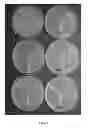 Fig. 05 - GASEOUS NITRIC OXIDE-SEQUESTERING PRODUCTS AND PROCESSES OF PREPARING SAME