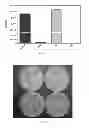 Fig. 09 - GASEOUS NITRIC OXIDE-SEQUESTERING PRODUCTS AND PROCESSES OF PREPARING SAME