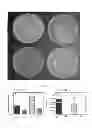 Fig. 10 - GASEOUS NITRIC OXIDE-SEQUESTERING PRODUCTS AND PROCESSES OF PREPARING SAME