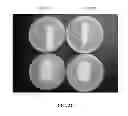 Fig. 15 - GASEOUS NITRIC OXIDE-SEQUESTERING PRODUCTS AND PROCESSES OF PREPARING SAME