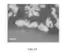 Fig. 12 - METHOD OF MAKING ELECTROCHEMICAL DEVICE WITH POROUS METAL LAYER
