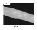 Fig. 02 - Polyamide/polyphenylene ether fibers and fiber-forming method