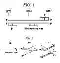 Fig. 02 - Method for detecting nucleic acids by promoting branched DNA complex formation