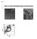 Fig. 33 - Artificial immune system: methods of use