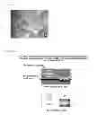 Fig. 46 - Artificial immune system: methods of use