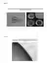 Fig. 63 - Artificial immune system: methods of use
