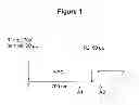 Fig. 02 - Methods for assaying percentage of glycated hemoglobin