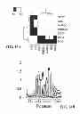 Fig. 43 - Method for inducing pluripotency in human somatic cells with PRDM14 or NFRKB