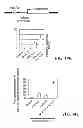 Fig. 49 - Method for inducing pluripotency in human somatic cells with PRDM14 or NFRKB