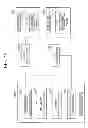 Fig. 10 - Wireless communication system, neighbor cell list optimizing system, base station, neighbor cell list updating method, and program
