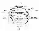 Fig. 01 - Bandwidth throughput optimization