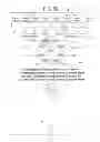 Fig. 19 - Gaming systems, gaming devices and methods with non-competitive play and optional competitive play