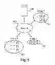 Fig. 06 - Methodology for equalizing systemic latencies in television reception in connection with games of skill played in connection with live television programming