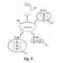Fig. 06 - Methodology for equalizing systemic latencies in television reception in connection with games of skill played in connection with live television programming