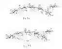 Fig. 02 - Chitooligosaccharides and methods for use in enhancing corn growth