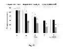 Fig. 13 - Neuro-protective compounds and their use