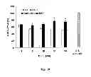 Fig. 31 - Neuro-protective compounds and their use