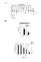 Fig. 32 - Neuro-protective compounds and their use