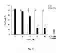 Fig. 33 - Neuro-protective compounds and their use