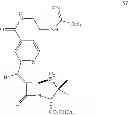 Fig. 167 - Beta-lactamase inhibitory compounds