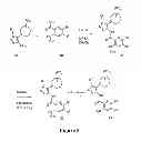 Fig. 04 - Pyrazol-4-yl-heterocyclyl-carboxamide compounds and methods of use