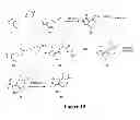 Fig. 07 - Pyrazol-4-yl-heterocyclyl-carboxamide compounds and methods of use