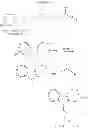 Fig. 293 - Pyrido[3,4-B]indoles and methods of use