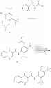 Fig. 12 - Solid forms of N-[2,4-bis(1,1-dimethylethyl)-5-hydroxyphenyl]-1,4-dihydro-4-oxoquinoline-3-carboxamide