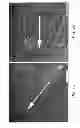 Fig. 09 - Collagen fibrillar construction
