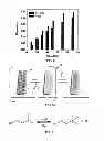 Fig. 08 - Method of synthesizing anatase TiOnanosheets