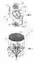 Fig. 02 - Cardiovascular device