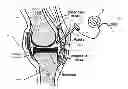Fig. 01 - DYNAMIC SURGICAL FLUID SENSING