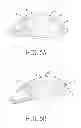 Fig. 06 - METHOD UTILIZING THERMOGRAPH OF A TEAR FILM FOR GENERATING A QUANTIFIED INDEX