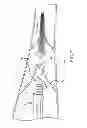 Fig. 09 - Systems and methods for limb treatment