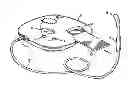Fig. 01 - Electronic system for influencing cellular functions in a warm-blooded mammalian subject