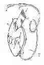 Fig. 02 - Electronic system for influencing cellular functions in a warm-blooded mammalian subject