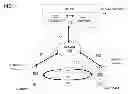 Fig. 01 - System and Method for Instantaneous Retail Payment