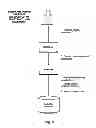 Fig. 07 - Protect intellectual property (IP) rights across namespaces