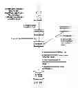 Fig. 12 - Protect intellectual property (IP) rights across namespaces