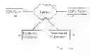 Fig. 02 - PROVIDING ENERGY PRODUCTION DATA
