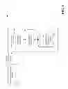 Fig. 02 - Persisting a group in an instant messaging application